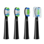Embouts de brosse à dents Bitvae D2 - Noir