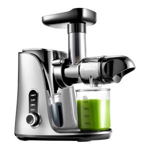 Extracteur de Jus Lente AMZCHEF 3001-GA - Gris