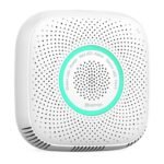 Détecteur de gaz combustible intelligent WS2CG