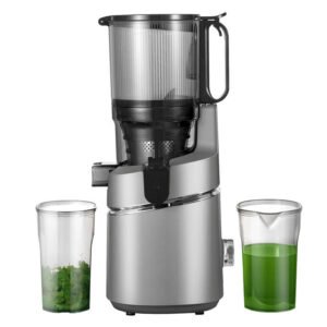 Extracteur de jus lent AMZCHEF SJ-036-GA - Gris