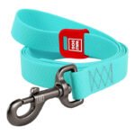 Laisse lumineuse et étanche pour chien WAUDOG - Turquoise - 25mm x 183cm